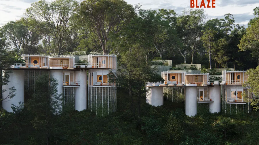 Hongos clusters raised on columns above the forest