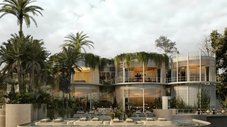 Social area between palms